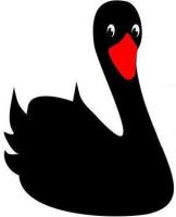 Black Swan Bouncy Castles